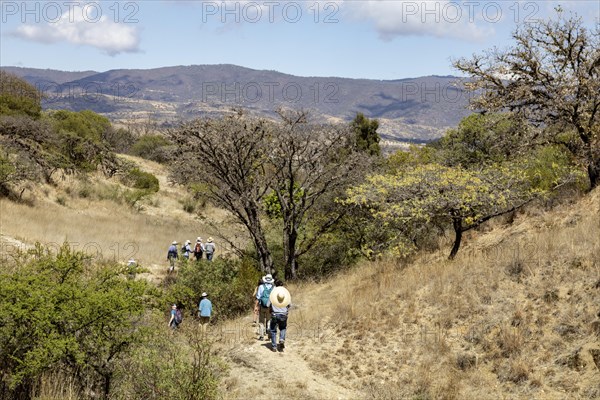 San Pablo Huitzo, Oaxaca, Mexico, Farmers are part of a cooperative that uses agroecological principles. They avoid pesticides and other chemicals, and recycle nutrients through the use of organic fertilizers. Visitors to a farm hike on a nearby trail, Central America