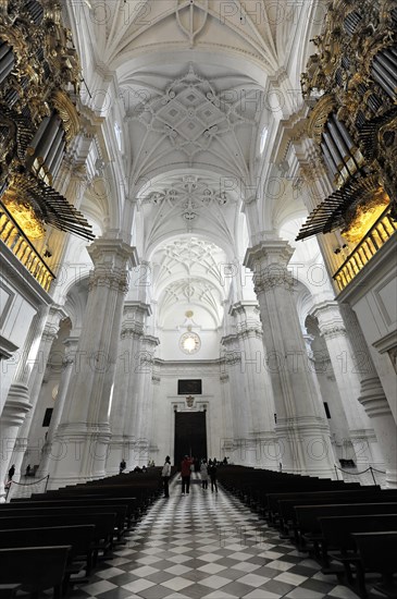 Santa Maria de la Encarnacion, Cathedral of Granada, view through the nave of a cathedral with high vaulted ceiling and chess floor pattern, Granada, Andalusia, Spain, Europe