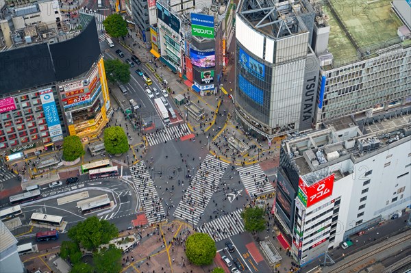 Pedestrians using the Shibuya Scramble Crossing, busy pedestrian intersection in Shibuya, special ward in the capital city Tokyo, Japan, Asia