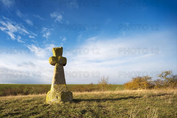Medieval stone cross, murder cross, atonement cross, Freyburg (Unstrut), Saxony-Anhalt, Germany, Europe