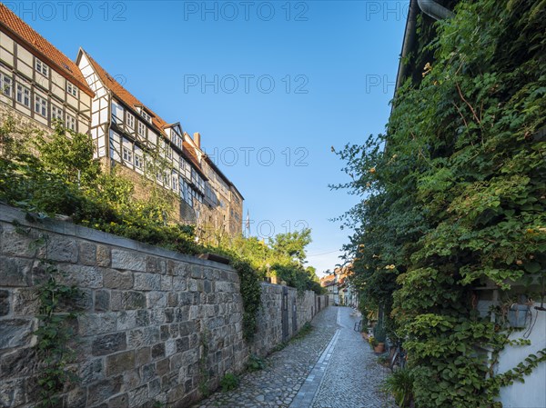 Narrow alley with half-timbered houses and cobblestones on the Schlossberg in the historic old town, UNESCO World Heritage Site, Quedlinburg, Saxony-Anhalt, Germany, Europe