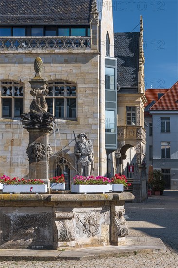 The wooden market fountain at the town hall with the Roland statue, Halberstadt, Saxony-Anhalt, Germany, Europe