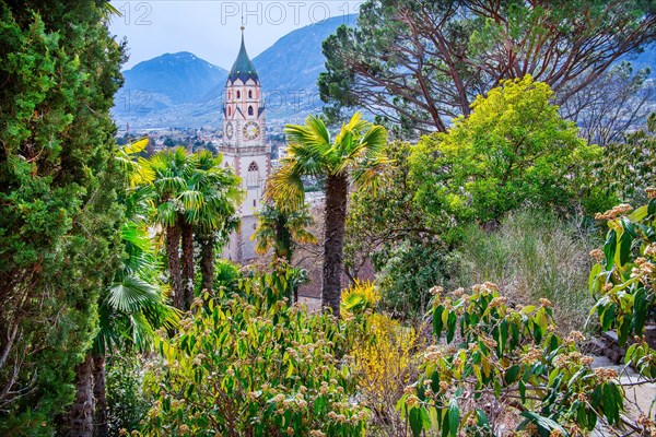 Subtropical vegetation in spring on the Tappeiner promenade with the tower of the parish church, Merano, Pass Valley, Adige Valley, Burggrafenamt, Alps, South Tyrol, Trentino-South Tyrol, Italy, Europe