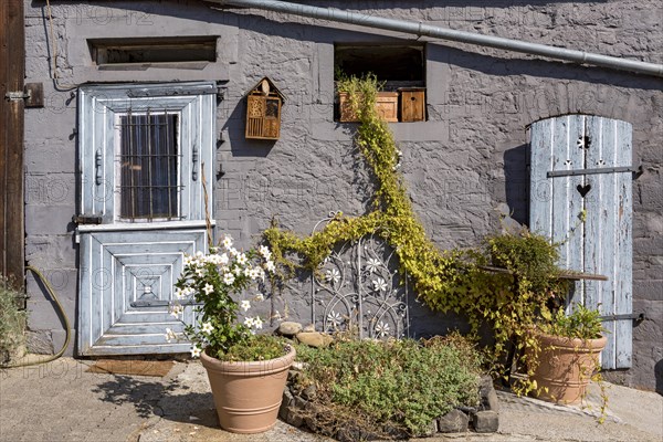 Old farmhouse, facade, decorated, flower pots, dipladenia (Mandevilla boliviensis), knotweed (Fallopia baldschuanica), weathered wooden door with heart, bird house, nesting box, idyll, romantic, Nidda, Vogelsberg, Wetterau, Hesse, Germany, Europe