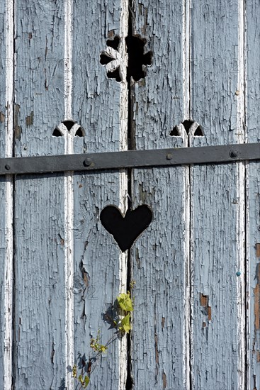Wooden door with heart, stable door, light-coloured varnish, weathered, leaves of knotweed (Fallopia baldschuanica), old farmhouse, idyll, romantic, Nidda, Vogelsberg, Wetterau, Hesse, Germany, Europe