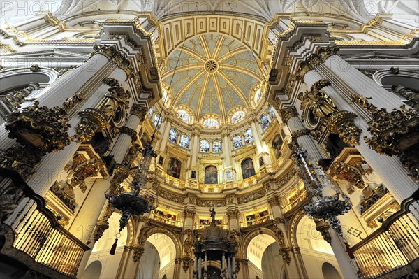 Santa Maria de la Encarnacion, Cathedral of Granada, wide angle view of a church dome in baroque style with golden decoration, Granada, Andalusia, Spain, Europe