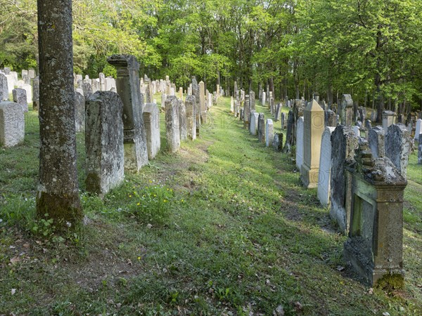 Old Jewish cemetery on the Judenhuegel near Kleinbardorf, municipality of Sulzfeld, Hassberge, Rhoen-Grabfeld, Lower Franconia, Bavaria, Germany, Europe