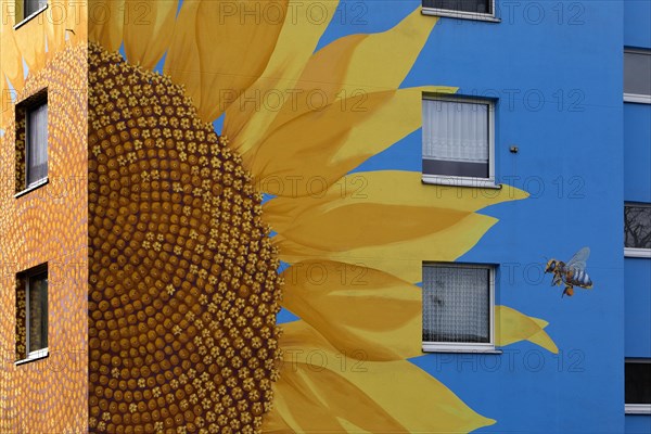 Sunflower house, painted sunflower and bee on a tower block, artist Ulrich Allgaier, Wuppertal, North Rhine-Westphalia, Germany, Europe