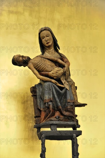Dom St. Kilian, St.-Kilians-Dom, Wuerzburg, A coloured wooden figure of the Pieta with Mary holding the dead Jesus in front of a yellow background, Wuerzburg, Lower Franconia, Bavaria, Germany, Europe