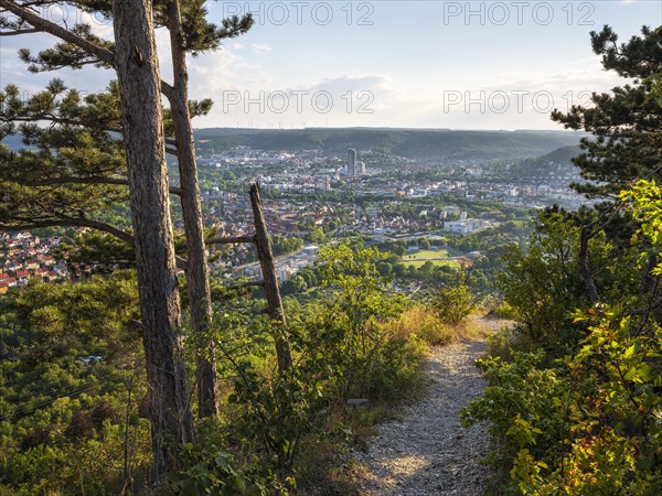 View from Mount Jenzig with hiking trail to the city of Jena in the evening light, Saale Valley, Thuringia, Germany, Europe