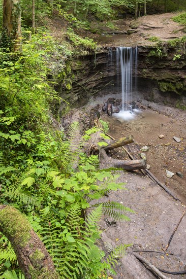 Small waterfall at Hoerschbach, Hoerschbach Valley, Swabian-Franconian Forest nature park Park, Murrhardt, Baden-Wuerttemberg, Germany, Europe