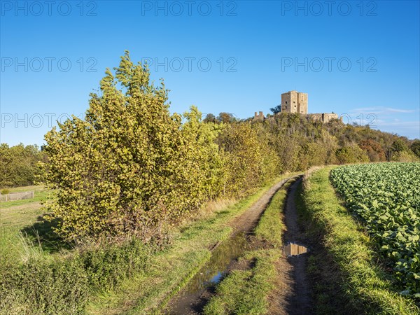 Landscape with field path in autumn, behind the ruins of Arnstein Castle, Sylda-Harkerode, Mansfeld-Suedharz, Saxony-Anhalt, Germany, Europe