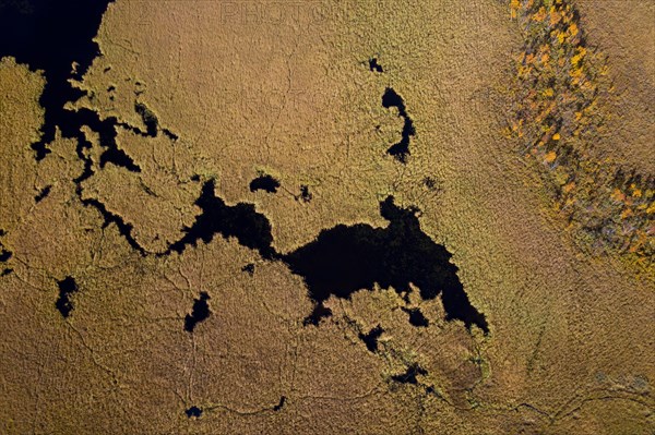 Aerial view over pond in marshland in autumn, fall at Hedmark, Innlandet, Eastern Norway