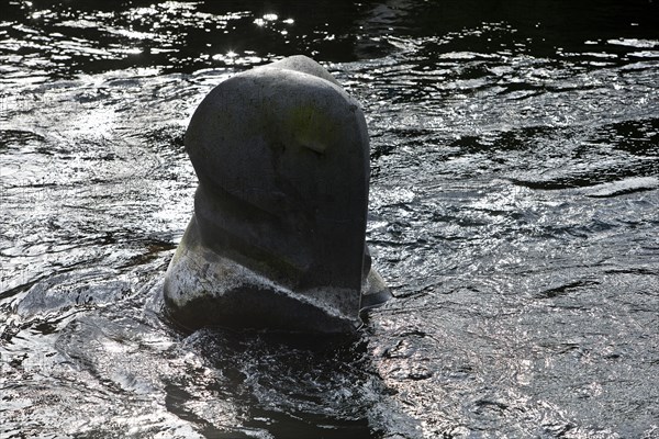Sculpture by Bernd Bergkemper in the shape of an elephant in the river Wupper, commemorating the jump of the elephant Tuffi, Wuppertal, Germany, Europe