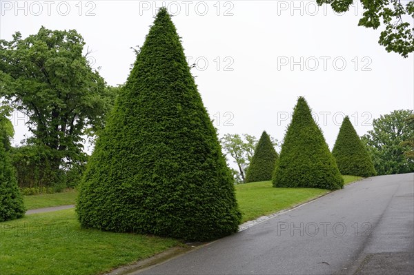 Palais Longchamp, Marseille, Manicured park with symmetrically trimmed, conical hedges on a cloudy day, Marseille, Departement Bouches-du-Rhone, Region Provence-Alpes-Cote d'Azur, France, Europe