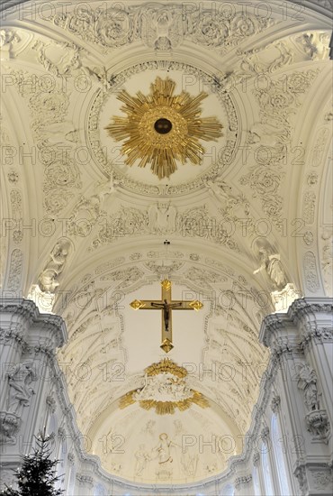 St Kilian's Cathedral in Wuerzburg, Wuerzburg Cathedral, Detailed stucco ceiling in Baroque style with golden decorations and ornaments, Wuerzburg, Lower Franconia, Bavaria, Germany, Europe