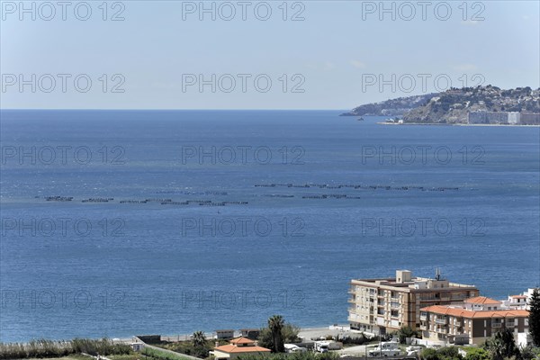 Solabrena, sea view with rows of fish farms or boats visible on the water, Costa del Sol, Andalusia, Spain, Europe