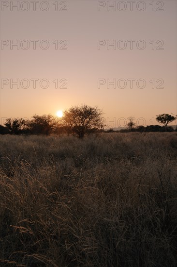 Landscape, Limpopo, South Africa, Africa