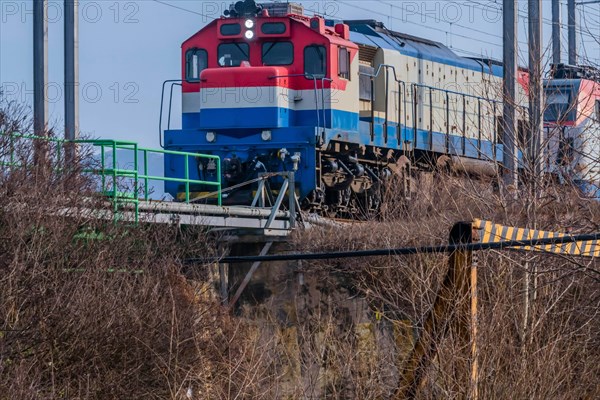 Blue and white train hauling freight cars over a track with scenic greenery in South Korea