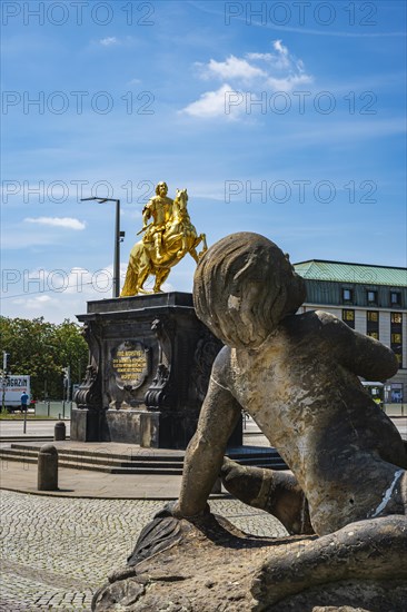 Golden Horseman, equestrian statue of the Saxon Elector and King of Poland, Augustus the Strong at Neustaedter Markt in Dresden, Saxony, Germany, Europe