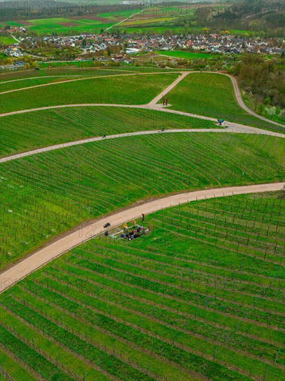 Green vineyard landscape with paths and a village in the background on a cloudy day, Jesus Grace Chruch, Weitblickweg, Easter hike, Hohenhaslach, Germany, Europe