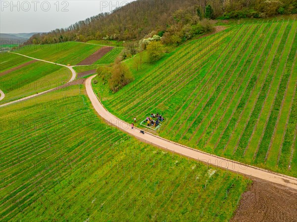 Aerial view of people moving along an agricultural path, Jesus Grace Chruch, Weitblickweg, Easter hike, Hohenhaslach, Germany, Europe