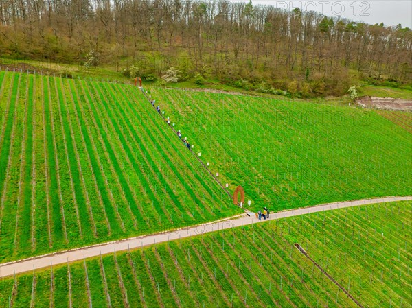 A group of people stand by an art installation in a vineyard, Jesus Grace Chruch, Weitblickweg, Easter hike, Hohenhaslach, Germany, Europe