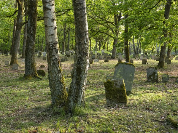 Old Jewish cemetery on the Judenhuegel near Kleinbardorf, municipality of Sulzfeld, Hassberge, Rhoen-Grabfeld, Lower Franconia, Bavaria, Germany, Europe