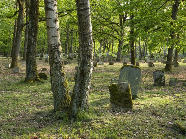 Old Jewish cemetery on the Judenhuegel near Kleinbardorf, municipality of Sulzfeld, Hassberge, Rhoen-Grabfeld, Lower Franconia, Bavaria, Germany, Europe