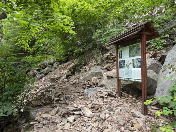 Landslide, mudflow, landslide, rockfall, buried hiking trail in the Bode Valley between Thale and Treseburg, Harz National Park, Thale, Saxony-Anhalt, Germany, Europe