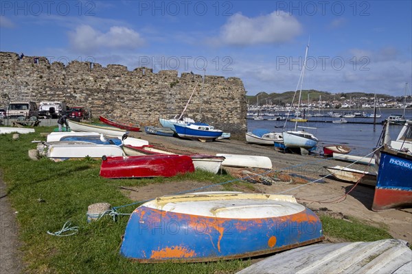 Town wall, fishing harbour, Conwy, Wales, Great Britain