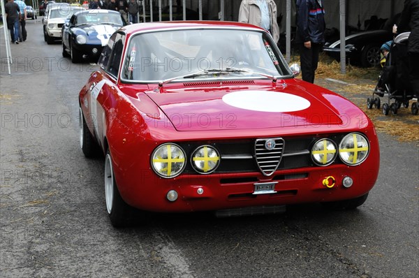 An Alfa Romeo classic car in racing livery with starting number on the side, SOLITUDE REVIVAL 2011, Stuttgart, Baden-Wuerttemberg, Germany, Europe