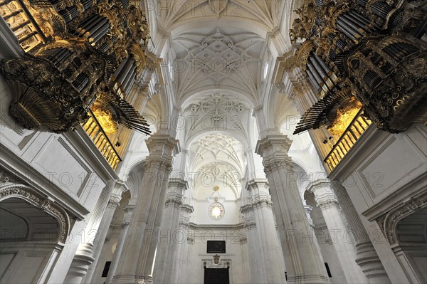 Organ, Cathedral of Santa Maria de la Encarnacion, Cathedral of Granada, Interior view of a baroque church with organs and vaulted ceiling, Granada, Andalusia, Spain, Europe