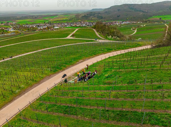 Group of people and cyclists in conversation on a road leading through vineyards, Jesus Grace Chruch, Weitblickweg, Easter hike, Hohenhaslach, Germany, Europe