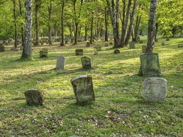 Old Jewish cemetery on the Judenhuegel near Kleinbardorf, municipality of Sulzfeld, Hassberge, Rhoen-Grabfeld, Lower Franconia, Bavaria, Germany, Europe