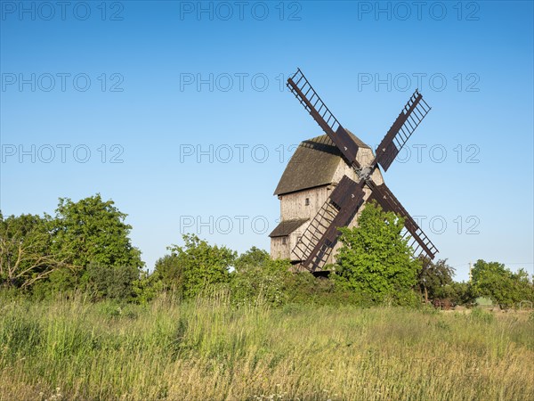 Mill, windmill, trestle windmill, Authausen, Saxony, Germany, Europe