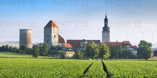 View over a green field to Querfurt Castle, Querfurt, Saxony-Anhalt, Germany, Europe