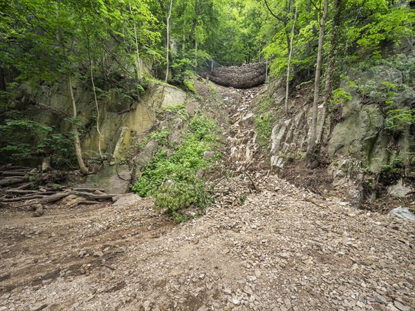 Landslide, debris flow, landslide, slowed by safety net, in the Bode Valley between Thale and Treseburg, Harz National Park, Thale, Saxony-Anhalt, Germany, Europe