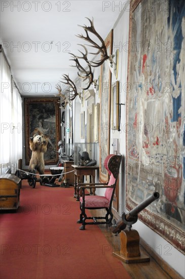 Langenburg Castle, view of a corridor with historical artefacts and hunting trophies on the walls, Langenburg Castle, Langenburg, Baden-Wuerttemberg, Germany, Europe