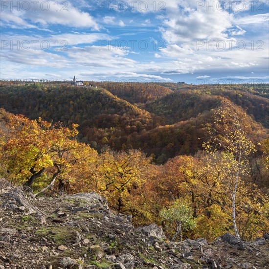 View over autumnal forests in the Selke valley, behind Falkenstein Castle, Harz Mountains, Saxony-Anhalt, Germany, Europe