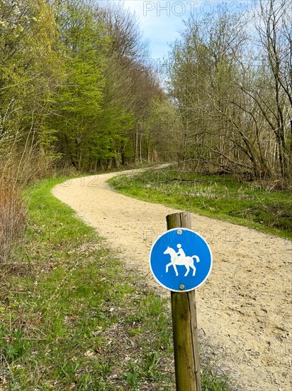 Sign for riders in front of designated signposted bridle path with soft sandy ground leading through mixed forest in spring, Germany, Europe