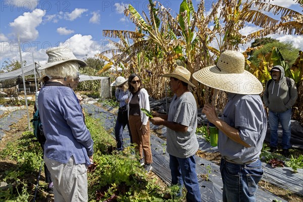 San Pablo Huitzo, Oaxaca, Mexico, Farmers are part of a cooperative that uses agroecological principles. They avoid pesticides and other chemicals, and recycle nutrients through the use of organic fertilizers. Hilario Roberto Gonzalez talks to visitors about his farming methods, Central America