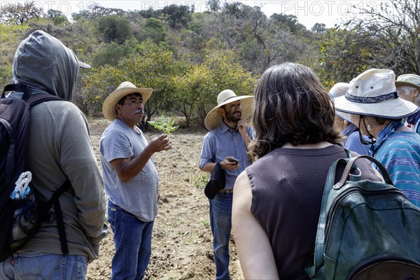 San Pablo Huitzo, Oaxaca, Mexico, Farmers are part of a cooperative that uses agroecological principles. They avoid pesticides and other chemicals, and recycle nutrients through the use of organic fertilizers. Hilario Roberto Gonzalez tells visitors about toloache, a plant that is said to make someone fall in love. In larger quantities it causes death, Central America