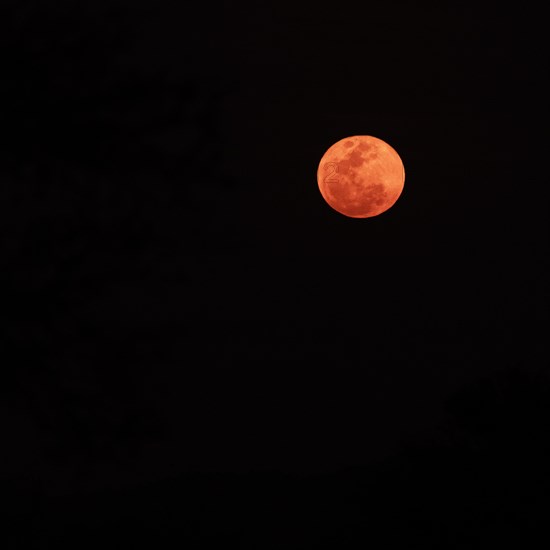 Blood moon, South Africa, Africa