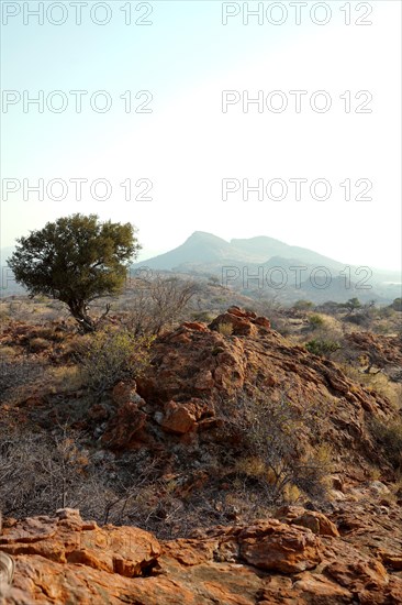 Landscape, Limpopo, South Africa, Africa