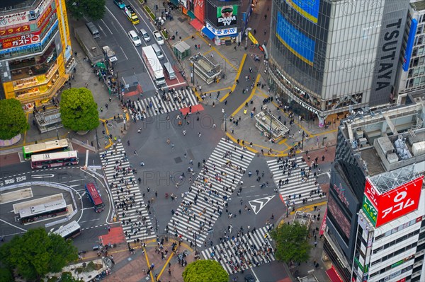 Pedestrians using the Shibuya Scramble Crossing, busy pedestrian intersection in Shibuya, special ward in the capital city Tokyo, Japan, Asia