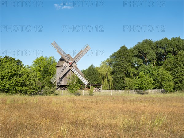 Mill, windmill, trestle windmill, Bad Dueben, Saxony, Germany, Europe