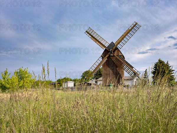 Zwochau mill, trestle windmill, Zwochau, Saxony, Germany, Europe