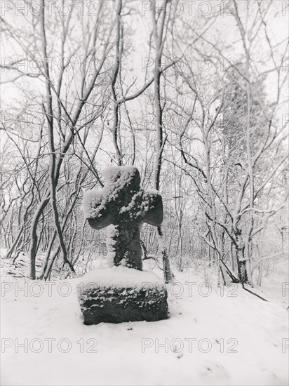 Medieval stone cross in a snow-covered forest in winter, murder cross, atonement cross, Freyburg (Unstrut), Saxony-Anhalt, Germany, Europe