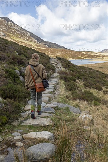 Woman, Hiker, LLyn Idwal Trail, Snowdonia National Park near Pont Pen-y-benglog, Bethesda, Bangor, Wales, Great Britain